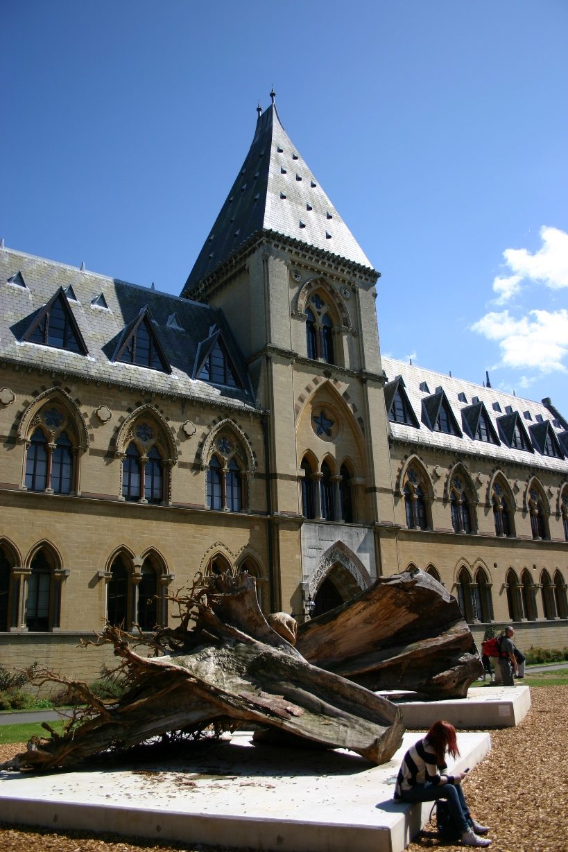 Oxford%20University%20Museum%20of%20Natural%20History%2C%20Oxford%2C%20UK%20-%2002.JPG